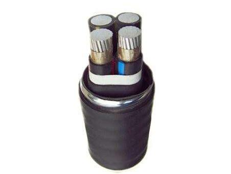 亚洲国产熟妇无码日韩