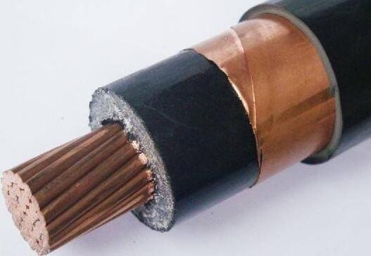 亚洲国产熟妇无码日韩