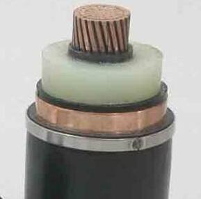 亚洲国产熟妇无码日韩