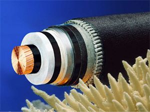 亚洲国产熟妇无码日韩