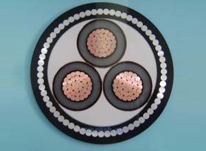 亚洲国产熟妇无码日韩