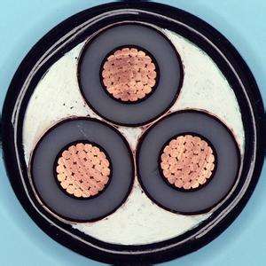 亚洲国产熟妇无码日韩