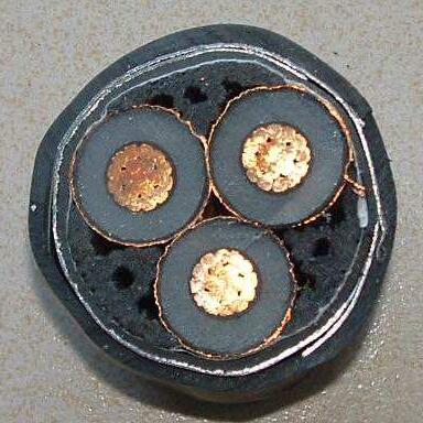 亚洲国产熟妇无码日韩