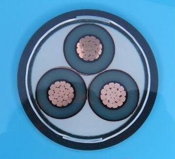 亚洲国产熟妇无码日韩