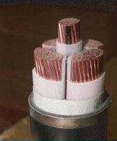 亚洲国产熟妇无码日韩