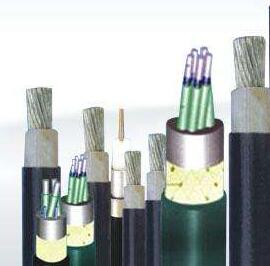 亚洲国产熟妇无码日韩