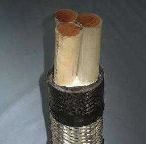 亚洲国产熟妇无码日韩