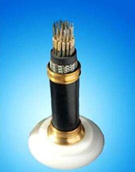 亚洲国产熟妇无码日韩