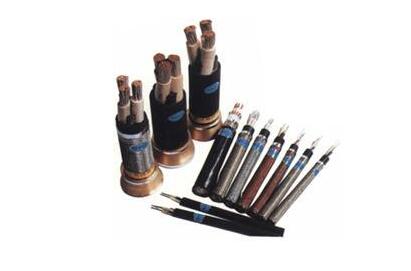 亚洲国产熟妇无码日韩