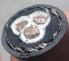 亚洲国产熟妇无码日韩