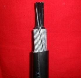 亚洲国产熟妇无码日韩