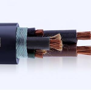 亚洲国产熟妇无码日韩