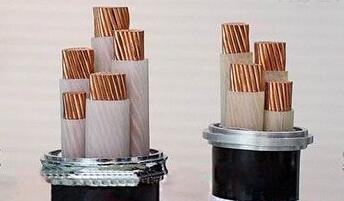 亚洲国产熟妇无码日韩