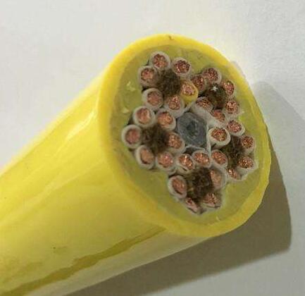 亚洲国产熟妇无码日韩