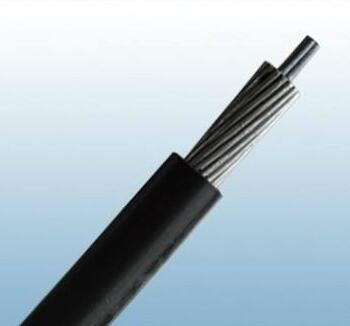 亚洲国产熟妇无码日韩