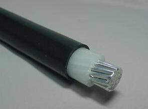 亚洲国产熟妇无码日韩