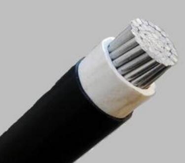 亚洲国产熟妇无码日韩