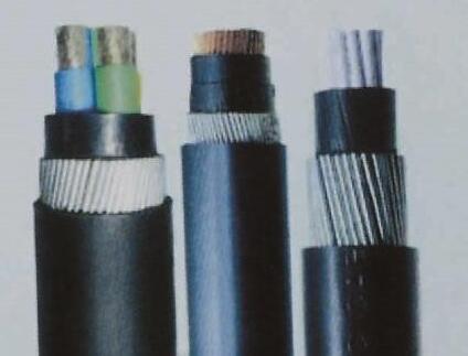 亚洲国产熟妇无码日韩