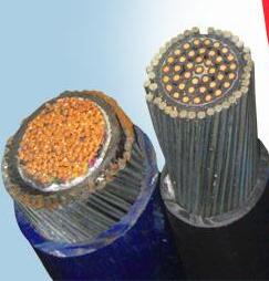 亚洲国产熟妇无码日韩