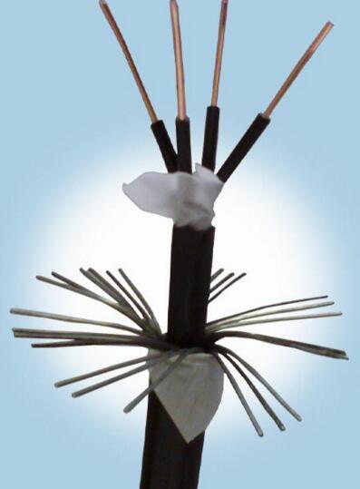 亚洲国产熟妇无码日韩