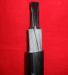 亚洲国产熟妇无码日韩