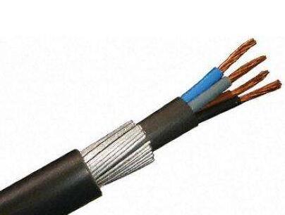 亚洲国产熟妇无码日韩