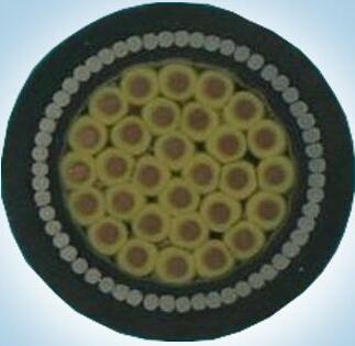 亚洲国产熟妇无码日韩