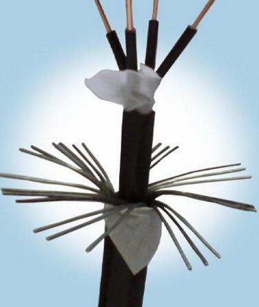 亚洲国产熟妇无码日韩