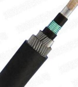 亚洲国产熟妇无码日韩