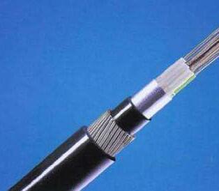 亚洲国产熟妇无码日韩