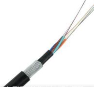 亚洲国产熟妇无码日韩