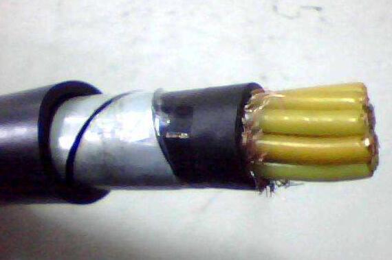 亚洲国产熟妇无码日韩