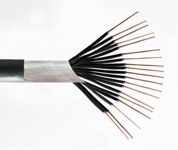 亚洲国产熟妇无码日韩