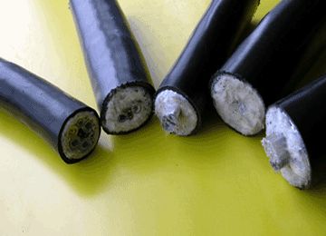 亚洲国产熟妇无码日韩