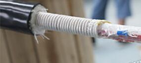 亚洲国产熟妇无码日韩