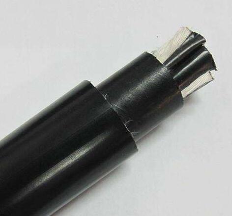 亚洲国产熟妇无码日韩