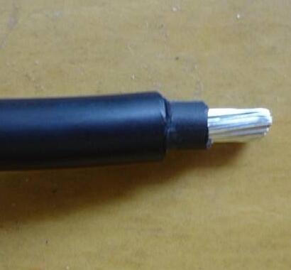 亚洲国产熟妇无码日韩