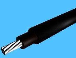 亚洲国产熟妇无码日韩