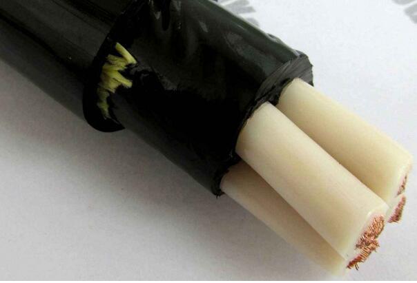 亚洲国产熟妇无码日韩