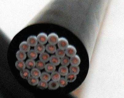 亚洲国产熟妇无码日韩