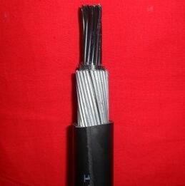 亚洲国产熟妇无码日韩