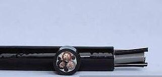 亚洲国产熟妇无码日韩