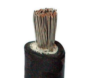 亚洲国产熟妇无码日韩