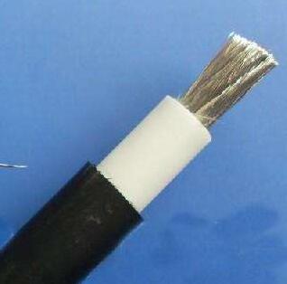 亚洲国产熟妇无码日韩