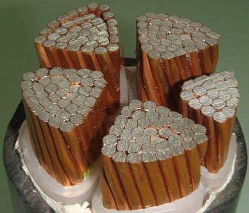 亚洲国产熟妇无码日韩