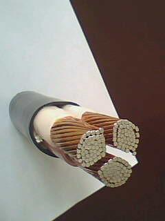 亚洲国产熟妇无码日韩