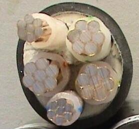 亚洲国产熟妇无码日韩