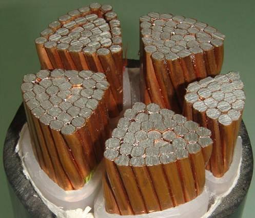 亚洲国产熟妇无码日韩