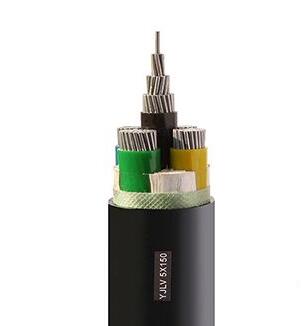 亚洲国产熟妇无码日韩