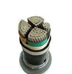 亚洲国产熟妇无码日韩